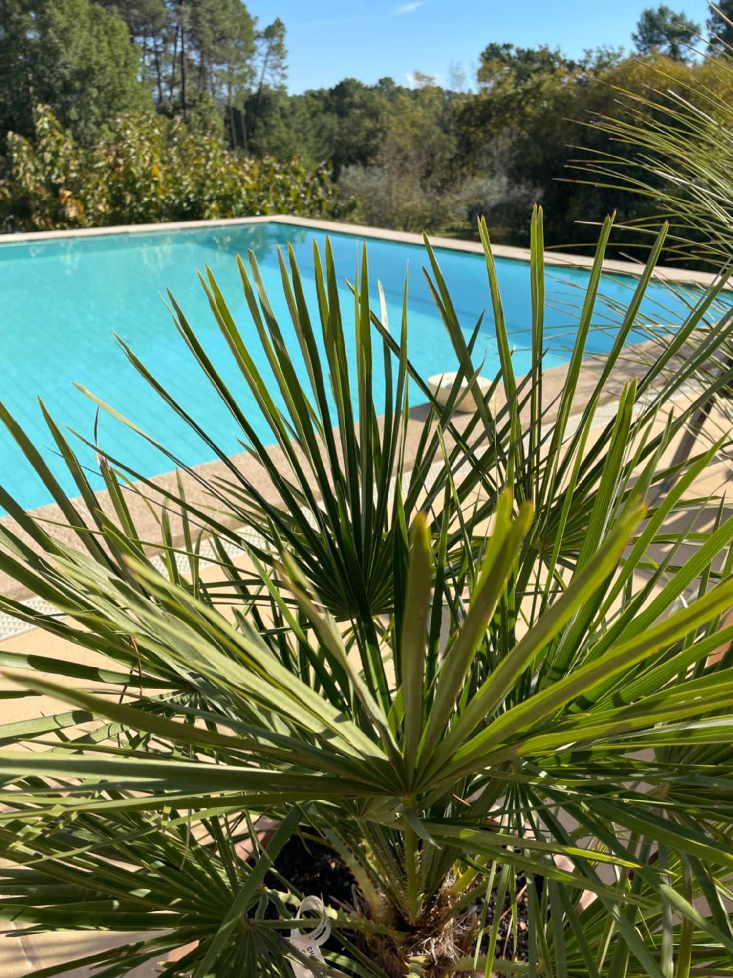 O Coeur Des Ocres Apartment Roussillon  Exterior photo